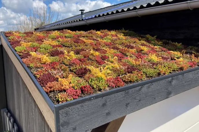 Inspiratie: 5 creatieve ideeën voor jouw carport